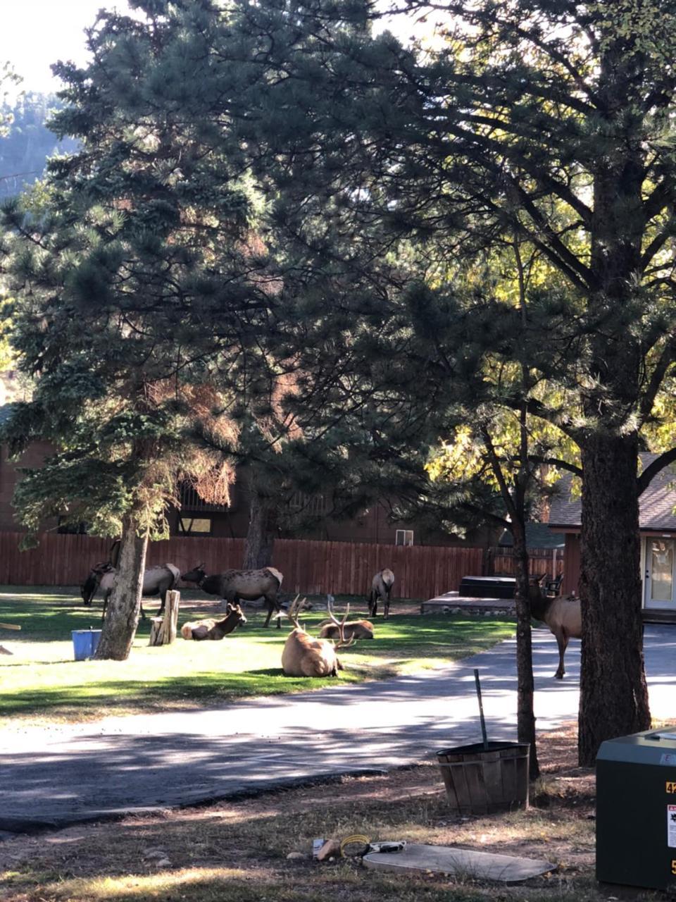 Вилла Riverview Pines Эстес Парк Экстерьер фото